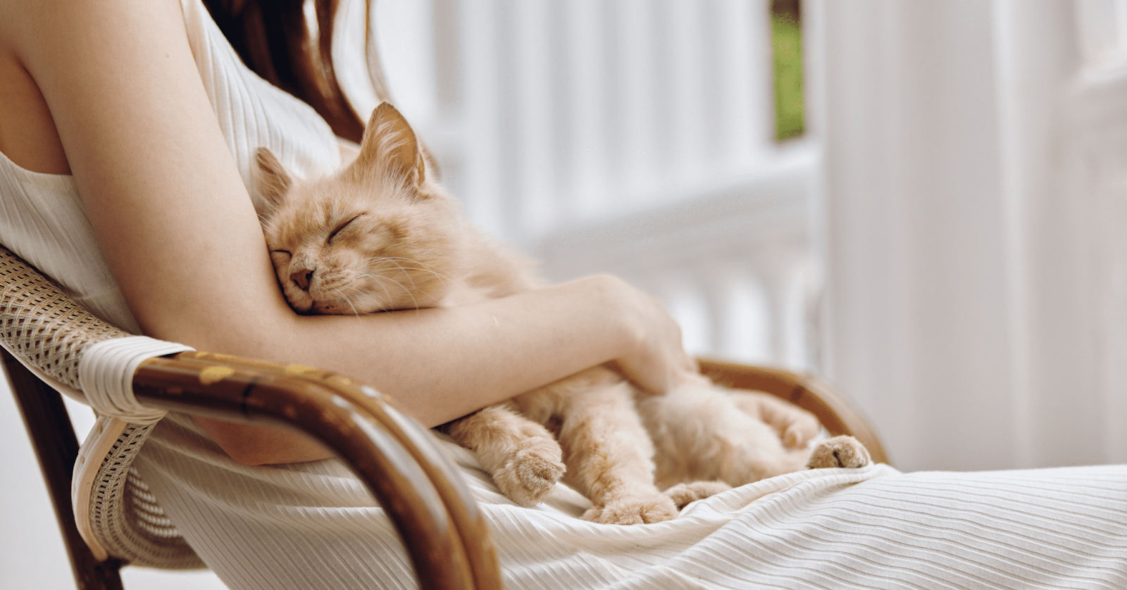 What Makes Cats Happy? 6 Things You Need to Know!